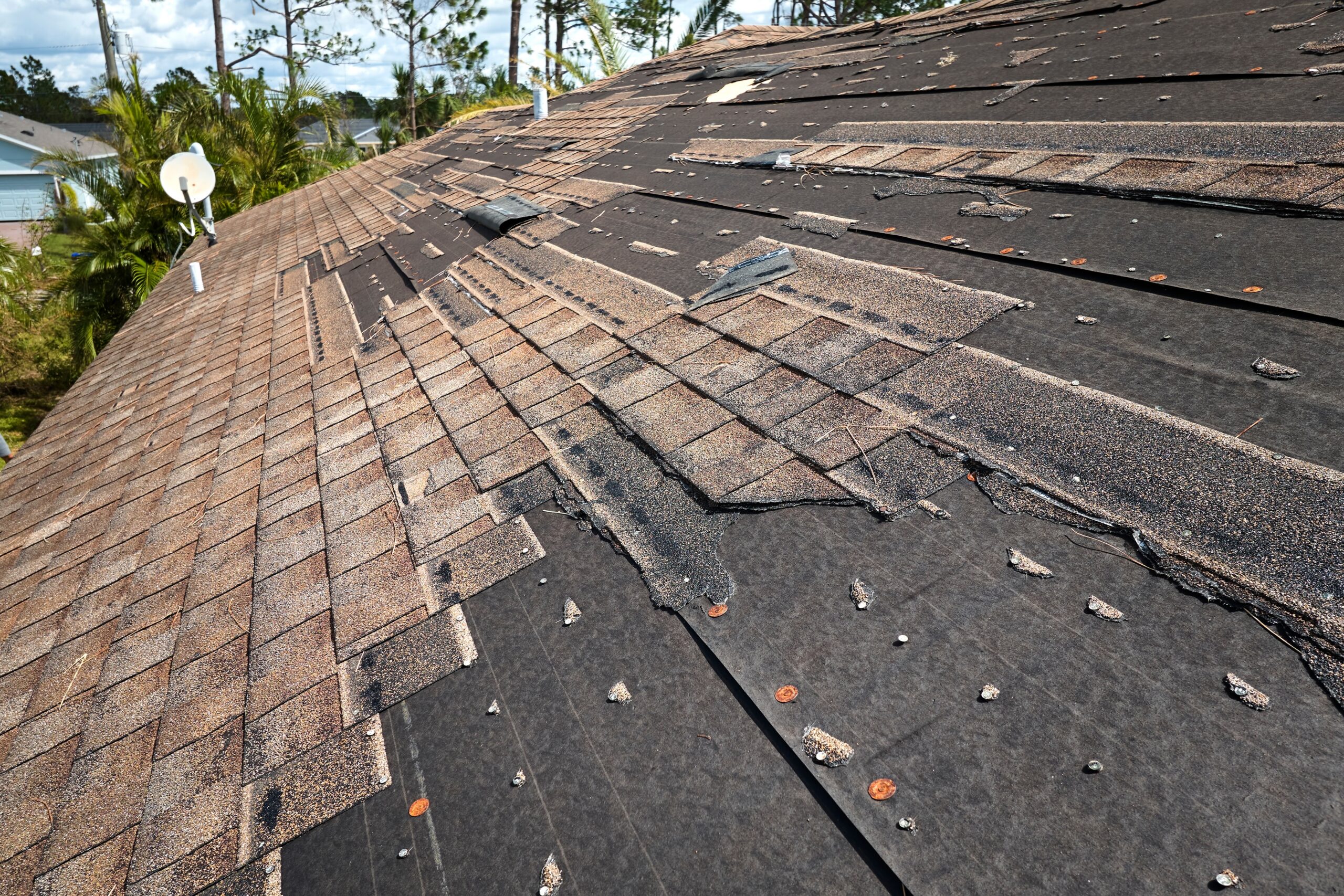 storm wind roof damage