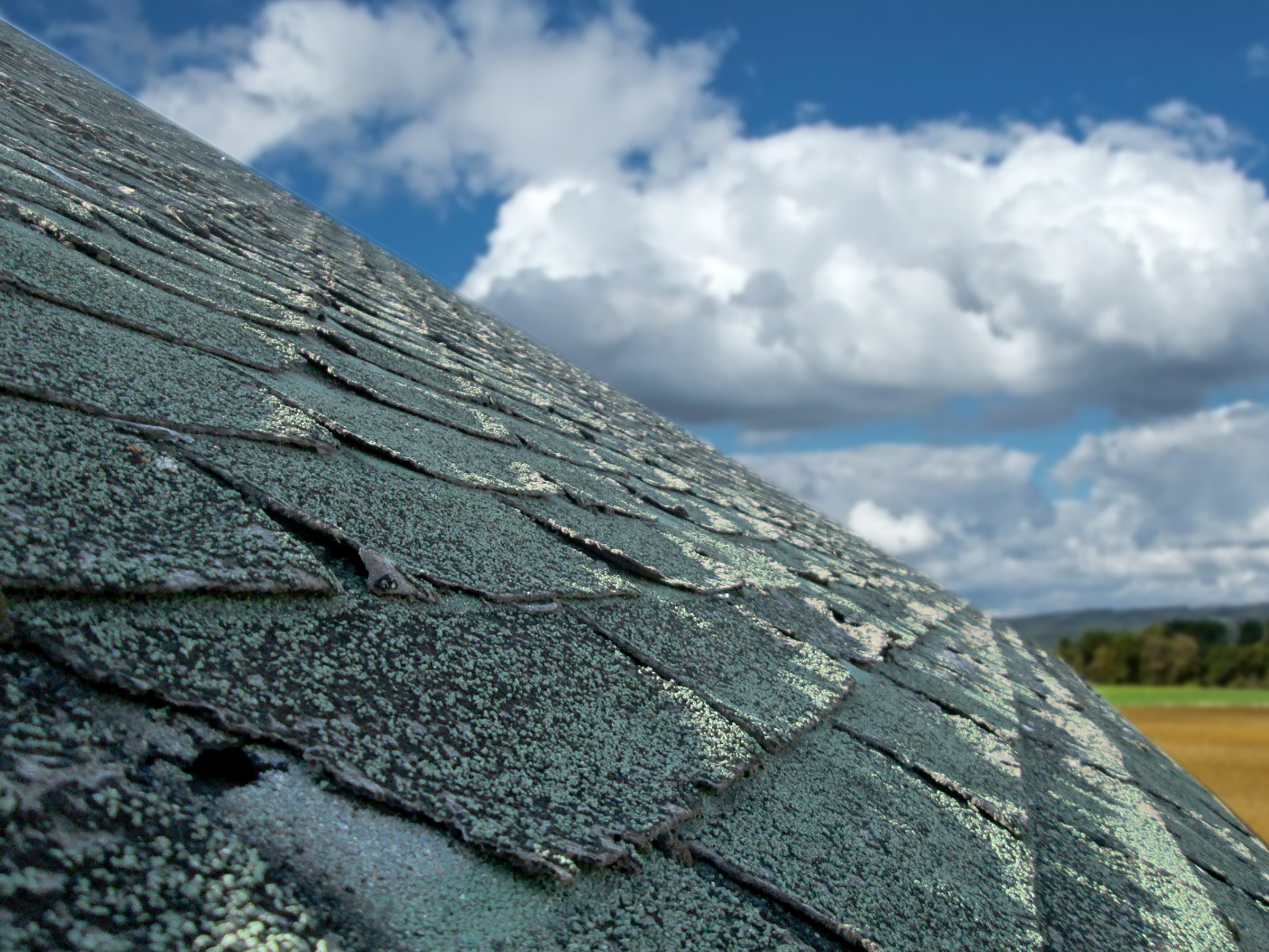 aging roof shingles Florida